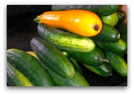 cucumbers and squash; simple vegetarian recipes